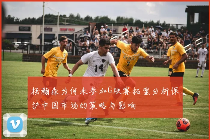 杨瀚森为何未参加G联赛拓蜜分析保护中国市场的策略与影响